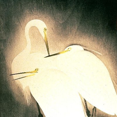 jtempleroot's profile picture. Die siehst, mein Sohn, zum Raum wird hier die Zeit