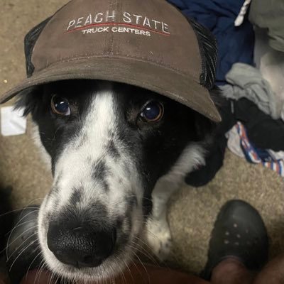 thehebrewhayman's profile picture. 