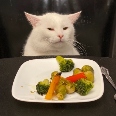 HurrCat's profile picture. White Whale Holy Grail