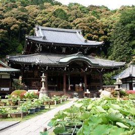 京都・宇治 西国第十番札所　明星山 「三室戸寺」
西国観音霊場十番札所で、本山修験宗の別格本山です。あじさい寺として有名です。