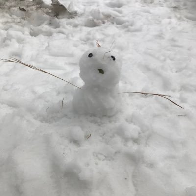 MbwuCRvmF4Vnq5Z's profile picture. 