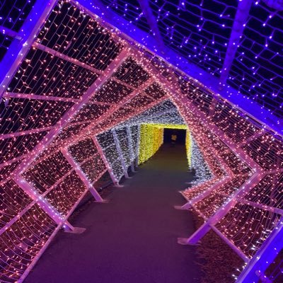 sa_mar7ku's profile picture. 今、思うことを書く。自由に書く。自分のために書く。