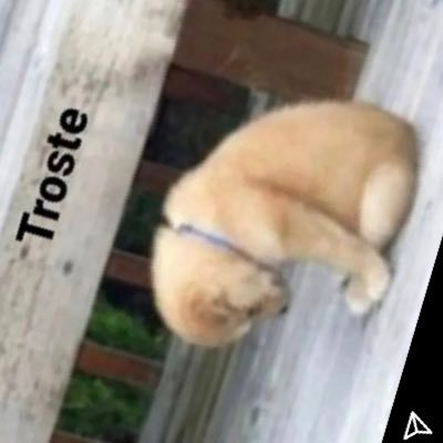 troste45's profile picture. Yo