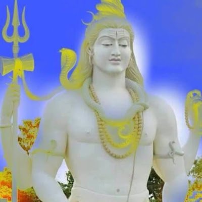 Pradeep12344148's profile picture. 