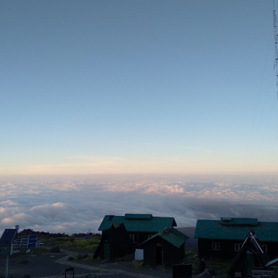 winston94814395's profile picture. Idk
https://t.co/nnybtSP2GX