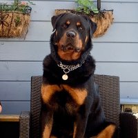 peter lanes (@peterlanes2) 's Twitter Profile Photo