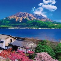 鹿島泉 (@si19560826) Twitter profile photo