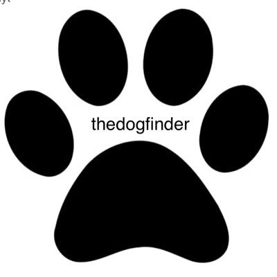 thedogfinder Profile Picture