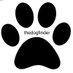 Dog Finder 💙 (@thedogfinder) Twitter profile photo