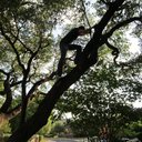 Cesar Elvir - @Caev37 - Twitter