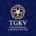 Türk Girişimsel Kardiyoloji Vakfı (@tgkvorg) Twitter profile photo