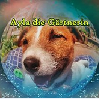 RobertT31171670's profile picture. System Err, try find out the TRUTH, what is the reality, searching for new solutions, new focus is AI