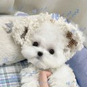 Ralph Herrera - @RalphHe51471978 - Twitter