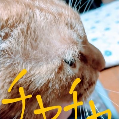 938lIaVLWcSnIZu's profile picture. みずです。
好きな動物は犬です。
趣味は音楽を聞くことと、お笑いを見ることです。