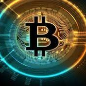 GalinaVanhekken's profile picture. investor。NFT