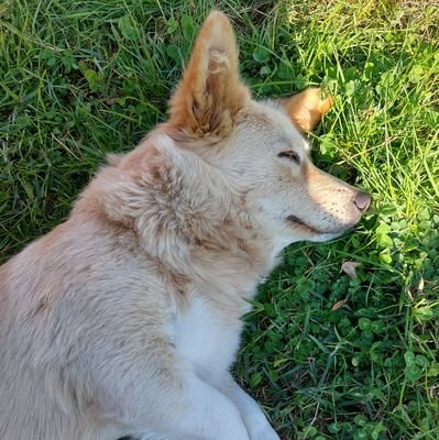 Cryptoline_13's profile picture. 