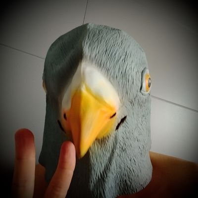 PigeonEngage Profile Picture