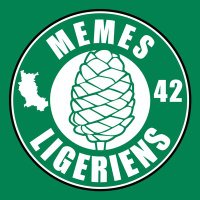Memes Ligériens (@memesligeriens) 's Twitter Profile Photo Memes Ligériens (@memesligeriens) 's Twitter Profile Photo