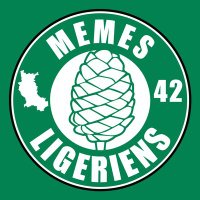 Memes Ligériens(@memesligeriens) 's Twitter Profile Photo