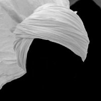 The Kabeela Voice 𝕏 (@thekabeelavoice) 's Twitter Profile Photo