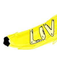 LIV (@oooodonnell) 's Twitter Profile