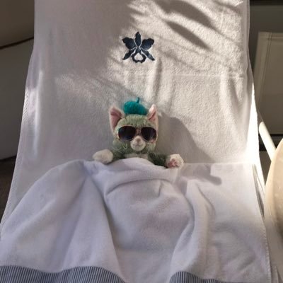 NG134ww's profile picture. 外資系生命保険1社専属/同業者のツイート見てたら始めたくなりました/MDRT/コンプライアンスには敏感/保険営業ライフ楽しもう〜🇯🇵