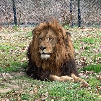 no1005bu's profile picture. ちぃーす。兵庫に住むヤローっす