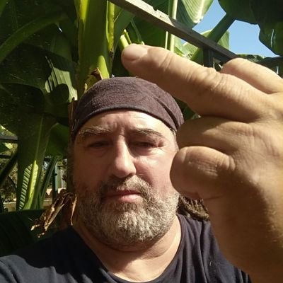 LeZbre2's profile picture. 