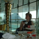 Nancy Morrill - @nancem66 - Twitter