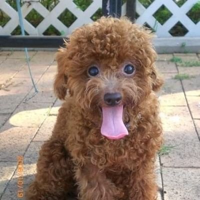 alanwmh's profile picture. Kuji 4ever!