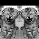 Bill Kidwell - @willyboyjonesie - Twitter