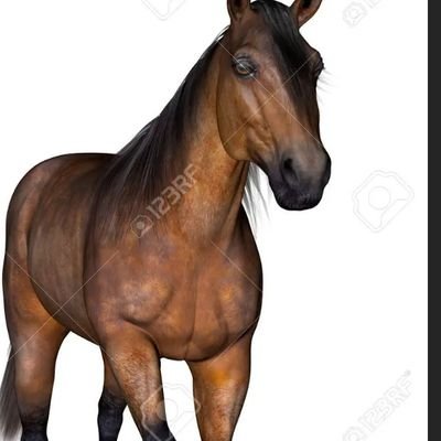 rcalderon4444's profile picture. RAFAEL.CALDERON