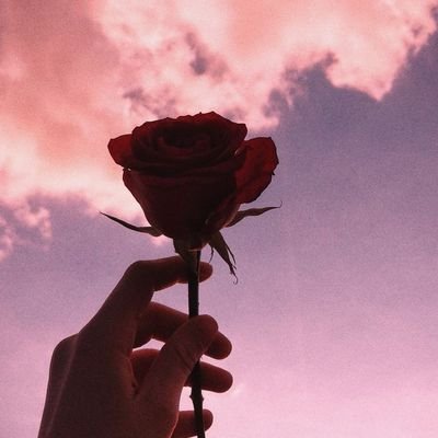 Let's find out together what the end holds for us both_🌹💫🌈💞🫂#aestheticlover