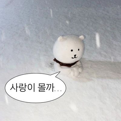 rcr0826's profile picture. 과몰입 진심녀가 올리는 #유사투표