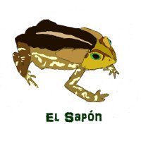 El Sapón(@ElGrandSapon) 's Twitter Profile Photo