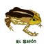 El Sapón (@ElGrandSapon) Twitter profile photo