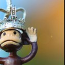 Robert Beech - @imonkey10 - Twitter