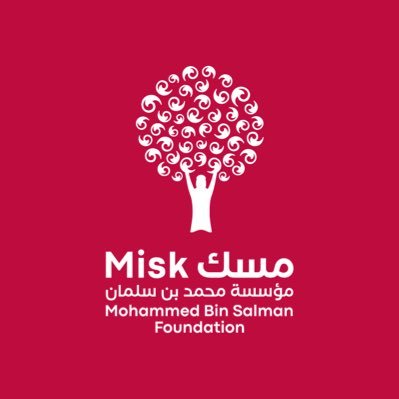 مسك المهارات | Misk Skills Profile