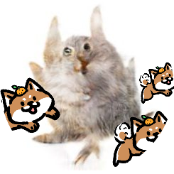 名前はレ///成人済腐///創作とCOC雑多アカ///⚠無言f苦手なので挨拶ください⚠ 【素材配布等】https://t.co/uaNlquUU2c ジッキョ好き/ff14/モルカー
