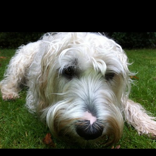 NikkiOlliver's profile picture. 