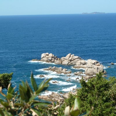 MareLiberum4's profile picture. Mer & Littoral