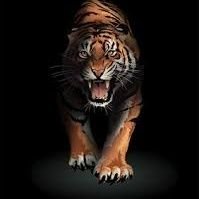 bittujain098's profile picture. I m best,,,,,,,,,,,,,,