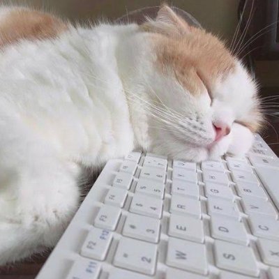 notzariel's profile picture. he/him | 15 | #studytwt