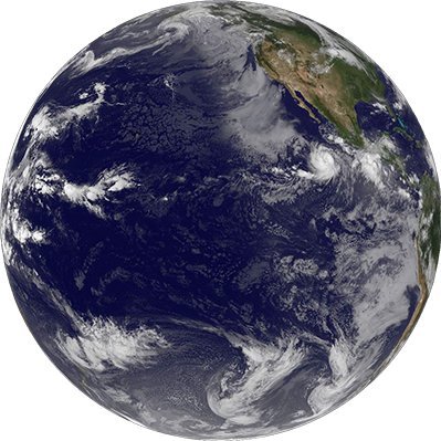 ECCWO Profile