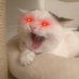 ล้อตโต้ไม่อ้วนแต่แก้มเบียด (@imlottogewinnen) Twitter profile photo ล้อตโต้ไม่อ้วนแต่แก้มเบียด (@imlottogewinnen) Twitter profile photo