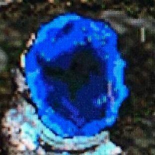 realryanbrandes's profile picture. #DimensionDoor