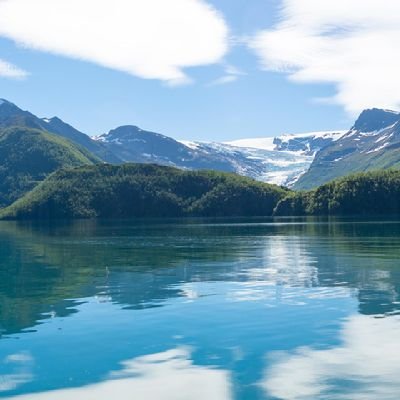 TouzRomain's profile picture. 