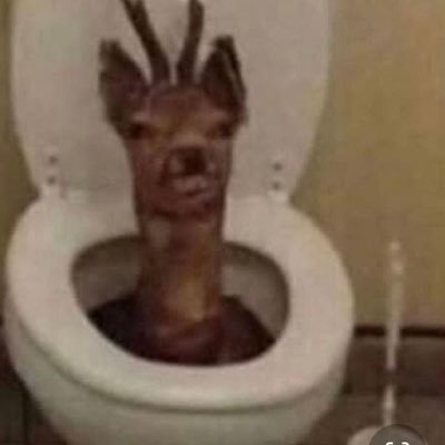 Meh_catie's profile picture. I’m stupid, I like anime, and playing any games