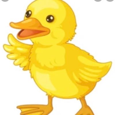 BetsDucky's profile picture. +EV sports bettor / Hot takes since ‘99 (1-0)