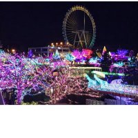 みっふぃ〜。 (@miffy_miffy1321) 's Twitter Profile